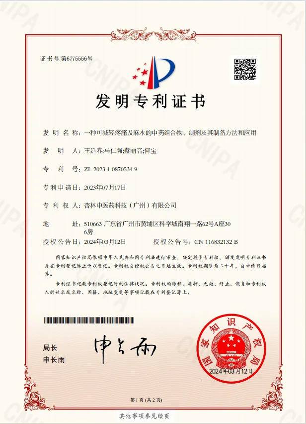 一種可減輕疼痛及麻木的中藥組合物、制劑及其制備方法和應(yīng)用